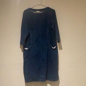 Jean Dress with POCKETS!!